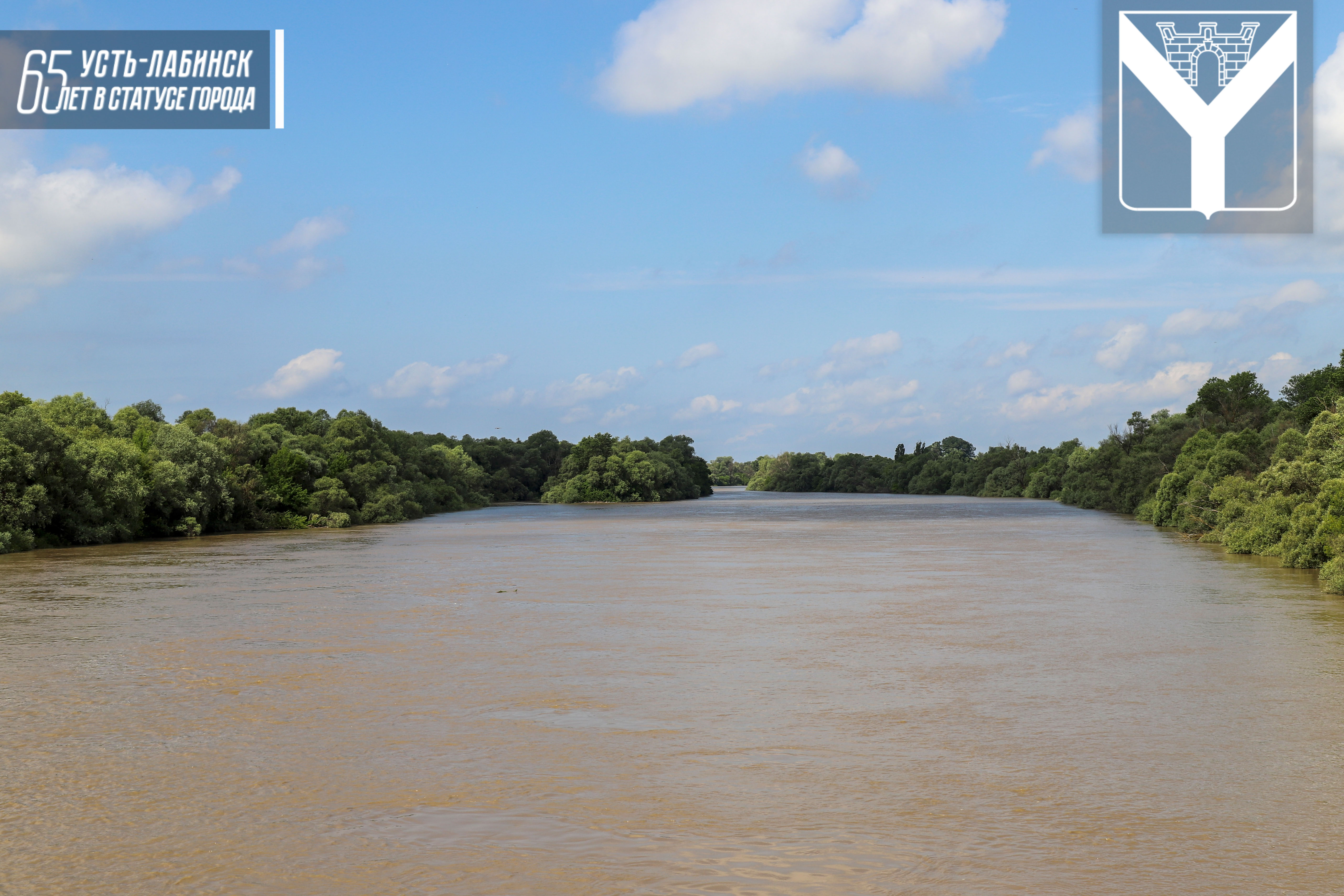 Уровень воды в реке кубань в краснодаре. Крокодил в реке Кубань.