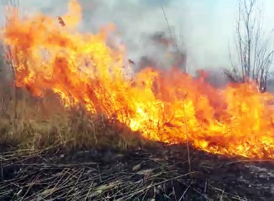 В Усть-Лабинске участились случаи возгорания сухой травы и зарослей камыша