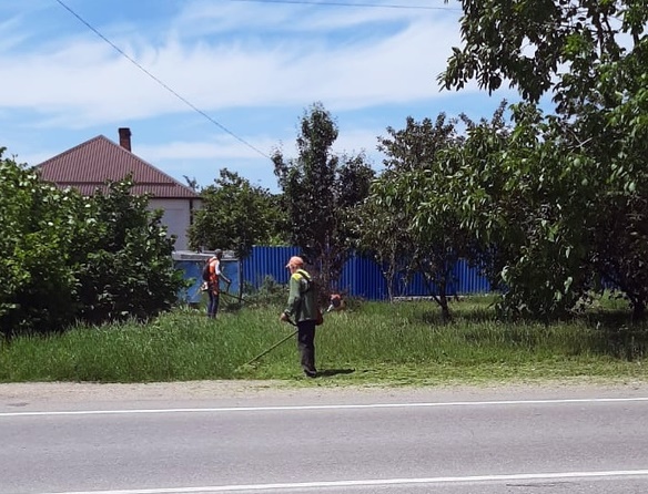 Покос травы на улицах Усть-Лабинска продолжается