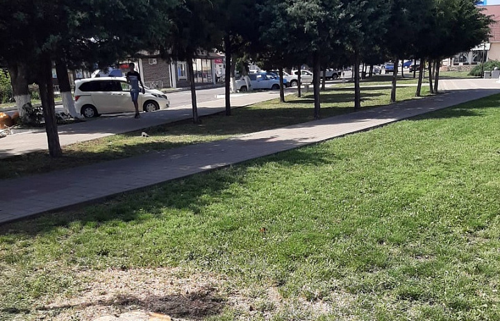 Покос травы на улицах Усть-Лабинска продолжается