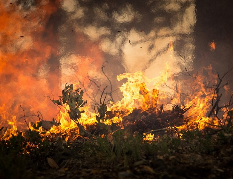 Высокий класс пожароопасности объявлен в Усть-Лабинском районе