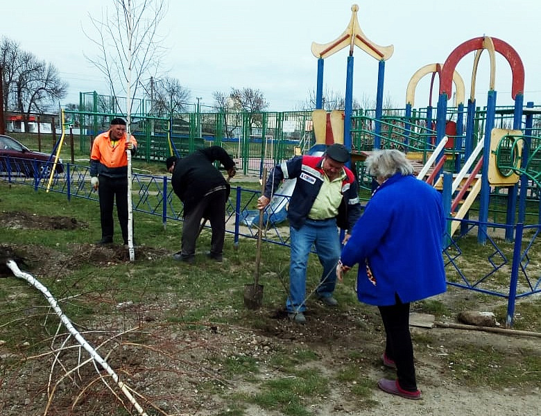 В Усть-Лабинске в рамках акции "Сад памяти" высаживают саженцы деревьев разных пород