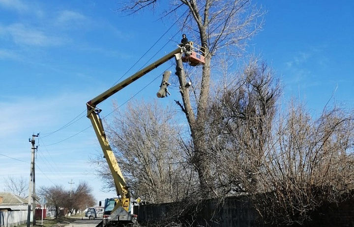 В Усть-Лабинске спилили дерево, представляющее угрозу для здоровья и жизни горожан