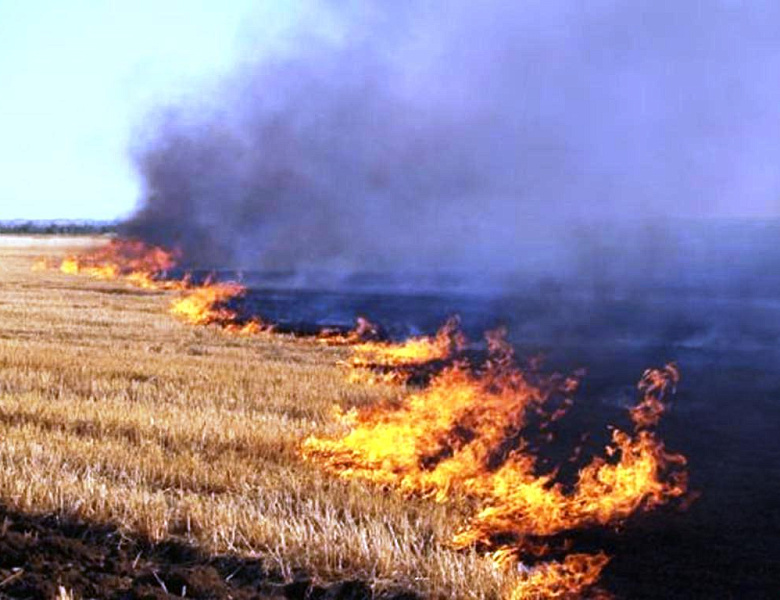 Порядок использования открытого огня и разведения костров на землях сельскохозяйственного назначения и землях запаса