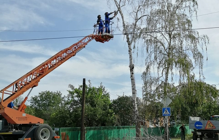 В Усть-Лабинске продолжаются работы по обрезке аварийных деревьев