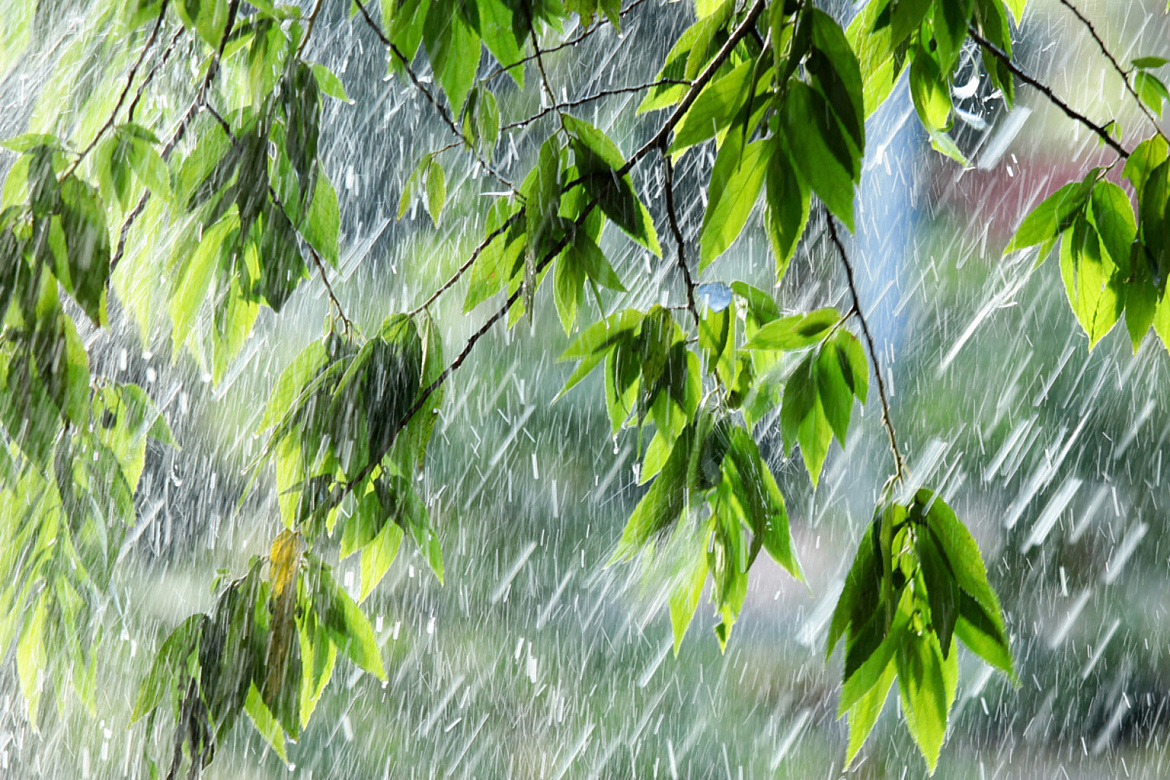 В ночь на 22 июля на Кубани ожидаются сильные дожди