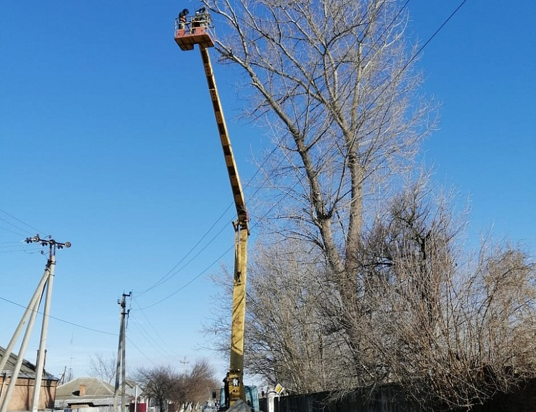 В Усть-Лабинске спилили дерево, представляющее угрозу для здоровья и жизни горожан