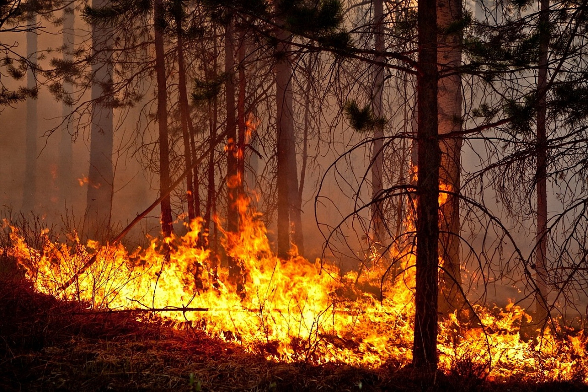 На территории Усть-Лабинска продолжаются рейды по предупреждению возникновения пожаров в осенний период