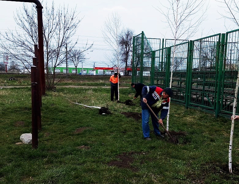 В Усть-Лабинске в рамках акции "Сад памяти" высаживают саженцы деревьев разных пород