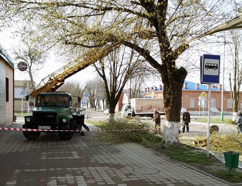 В Усть-Лабинске продолжаются работы по обрезке деревьев