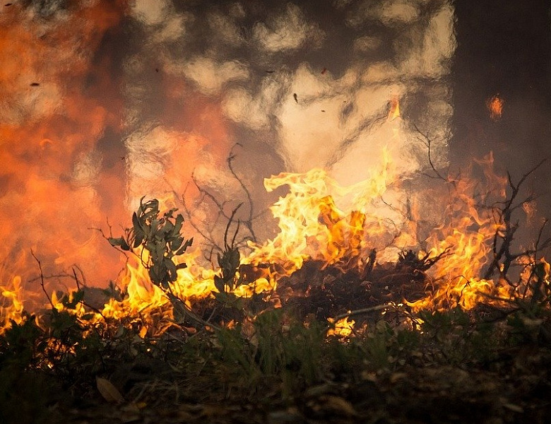 На территории Усть-Лабинска продолжаются рейды по предупреждению возникновения пожаров в летний период